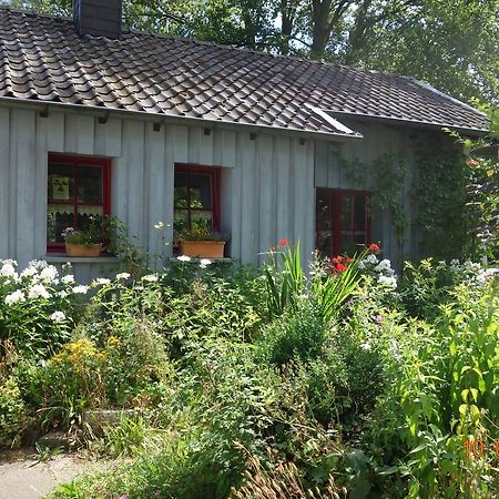 Ferienhaus Quick'S Cottage Roetgen Exterior foto